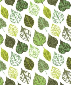 Ornate Leaves